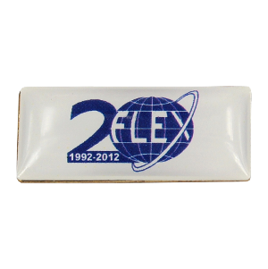 Значок FLEX 20 лет
