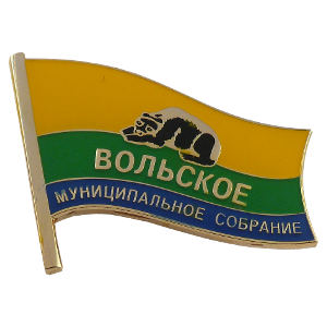Значок Депутата муниципального собрания Вольское. Штампованный значок, холодные эмали, смола 