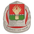 Нагрудный знак с гербом Почётный гражданин Коченевского района