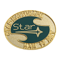 Значок к юбилею компании STAR нам 10 лет