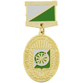 Медаль с колодкой Почётный житель города Карасука